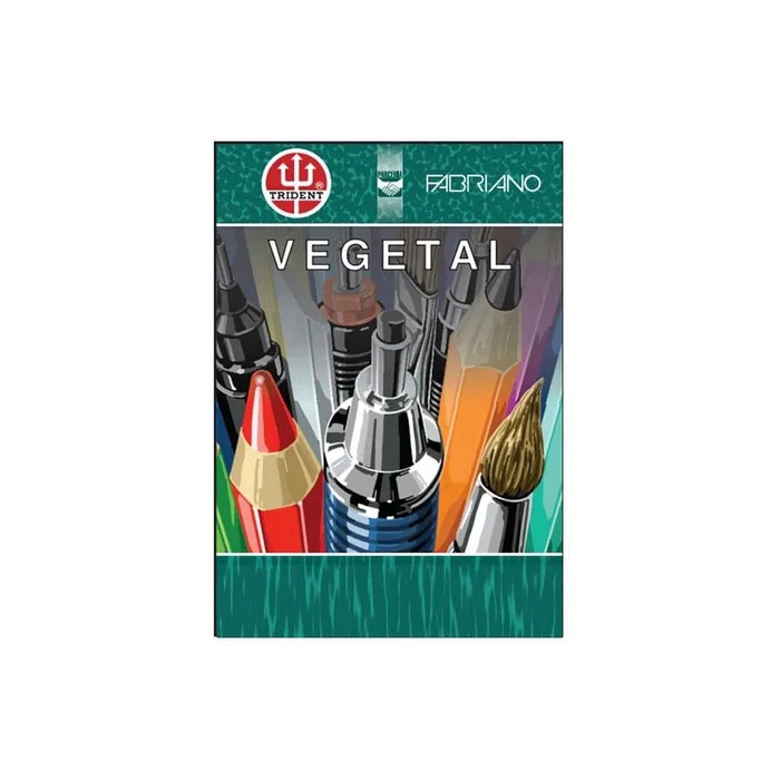 VEGETAL LISO A3 62G COM 50 FOLHAS PV-A362